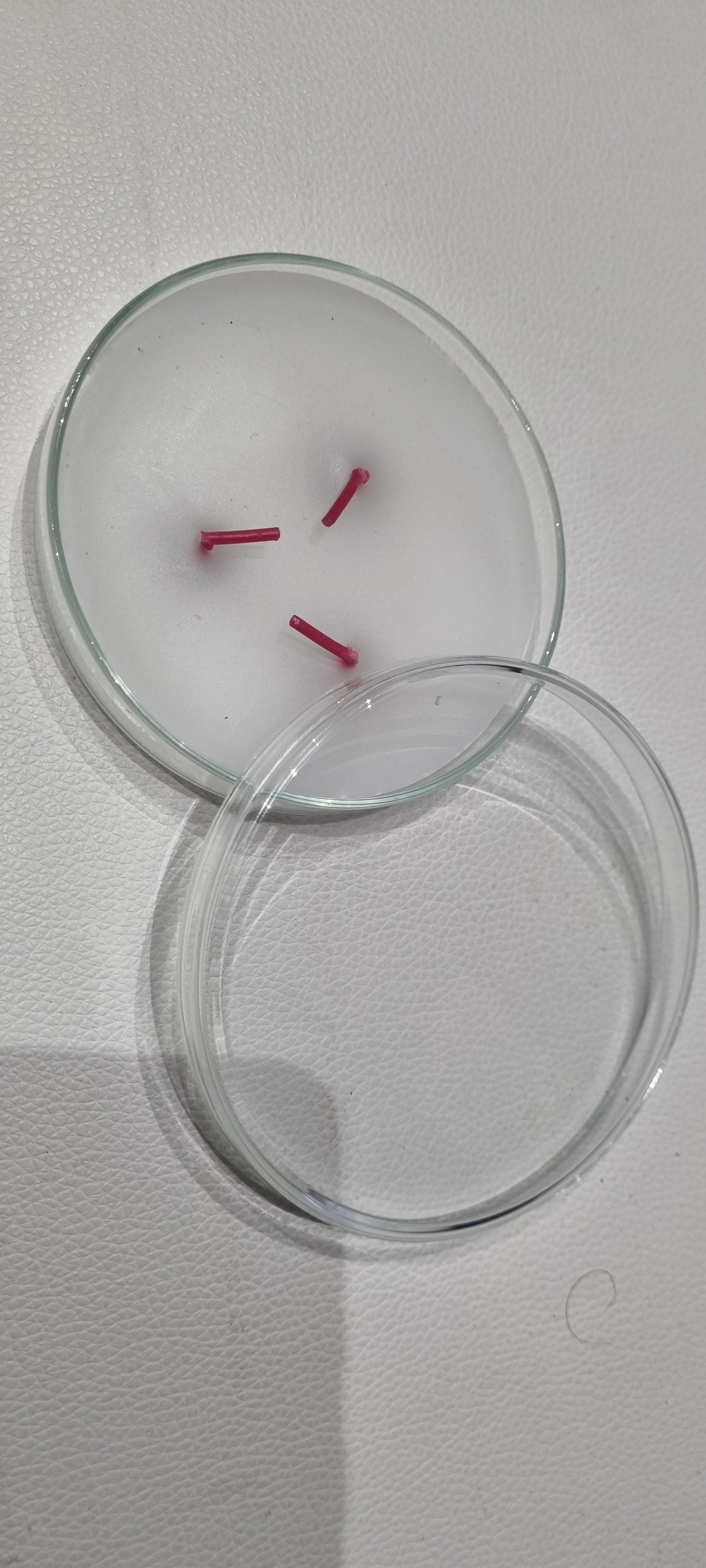 Recharge Socle Rond avec Couvercle