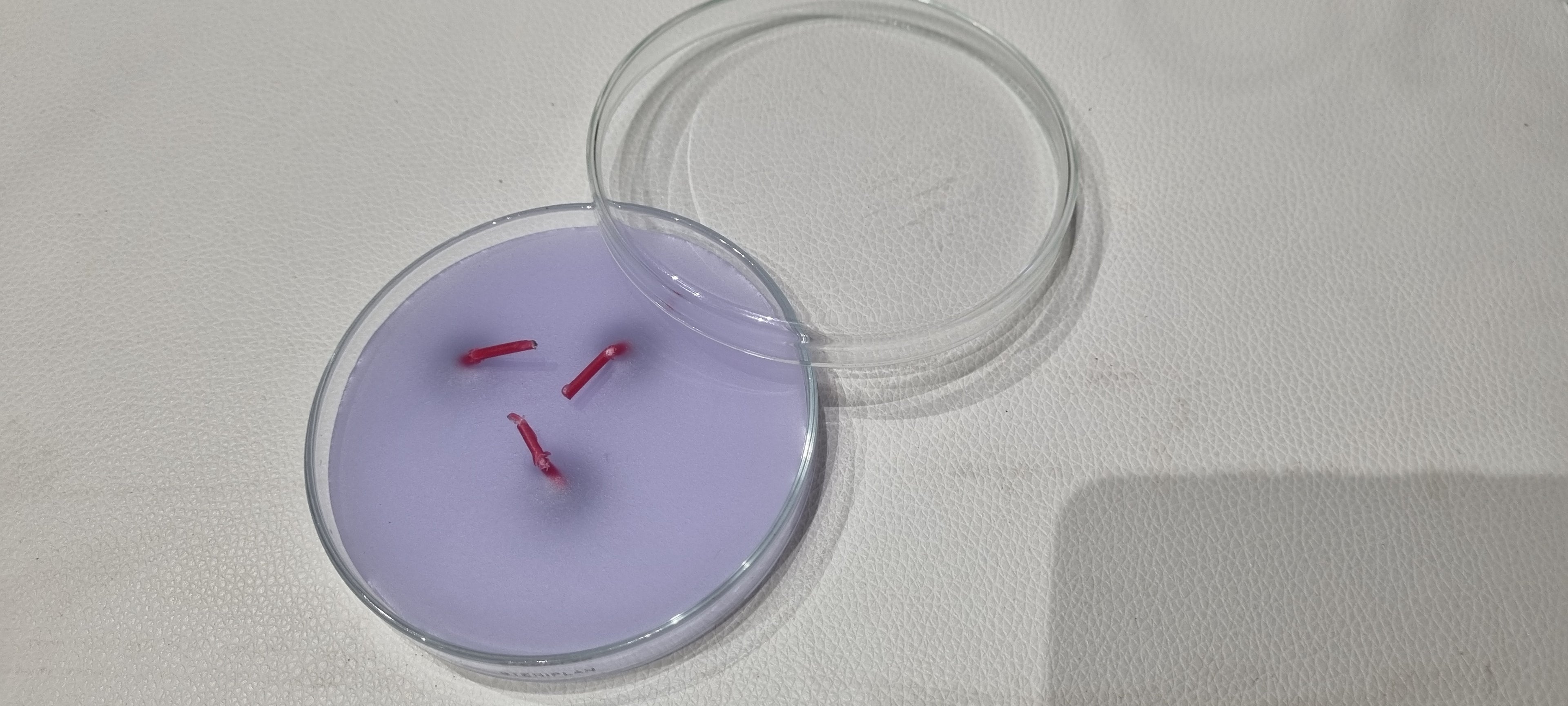 Recharge Socle Rond avec Couvercle