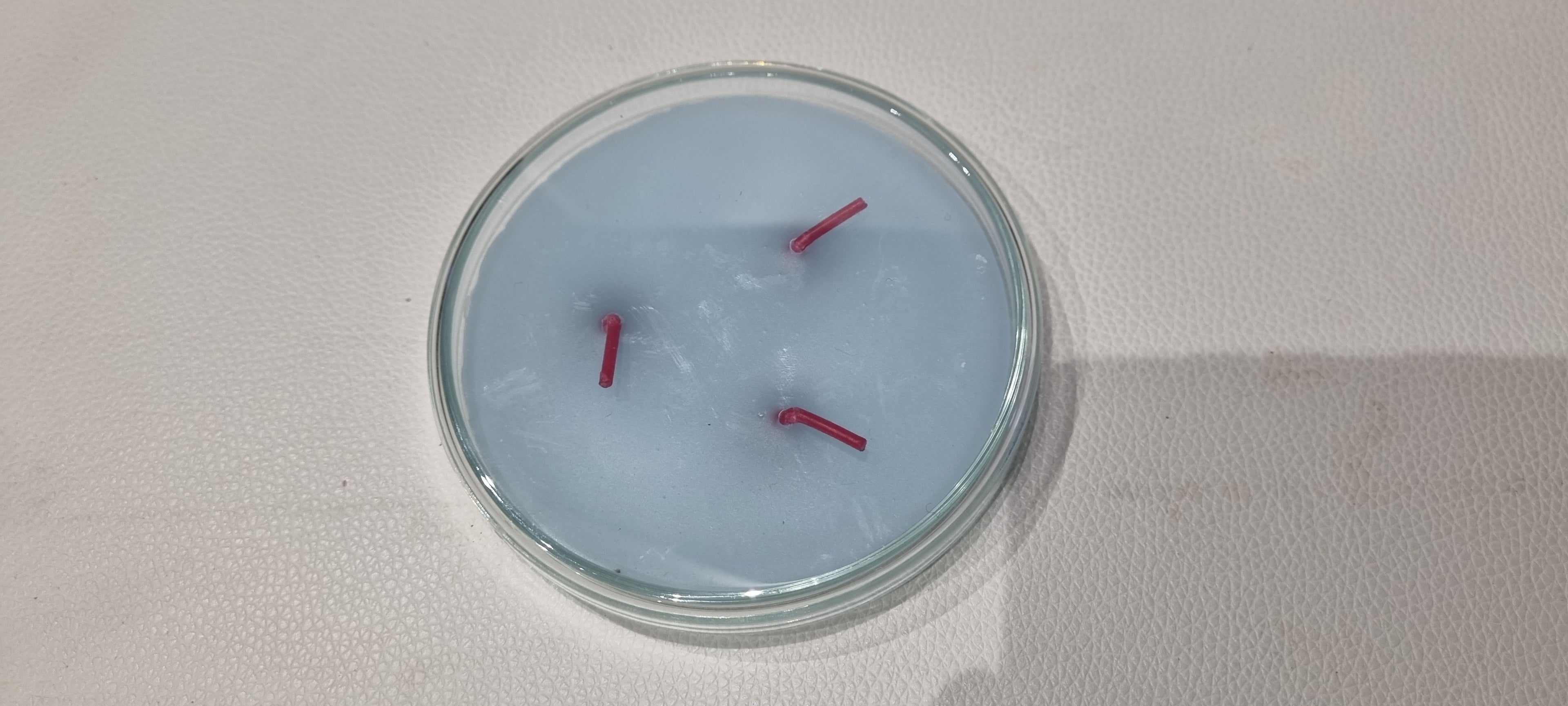 Recharge Socle Rond avec Couvercle