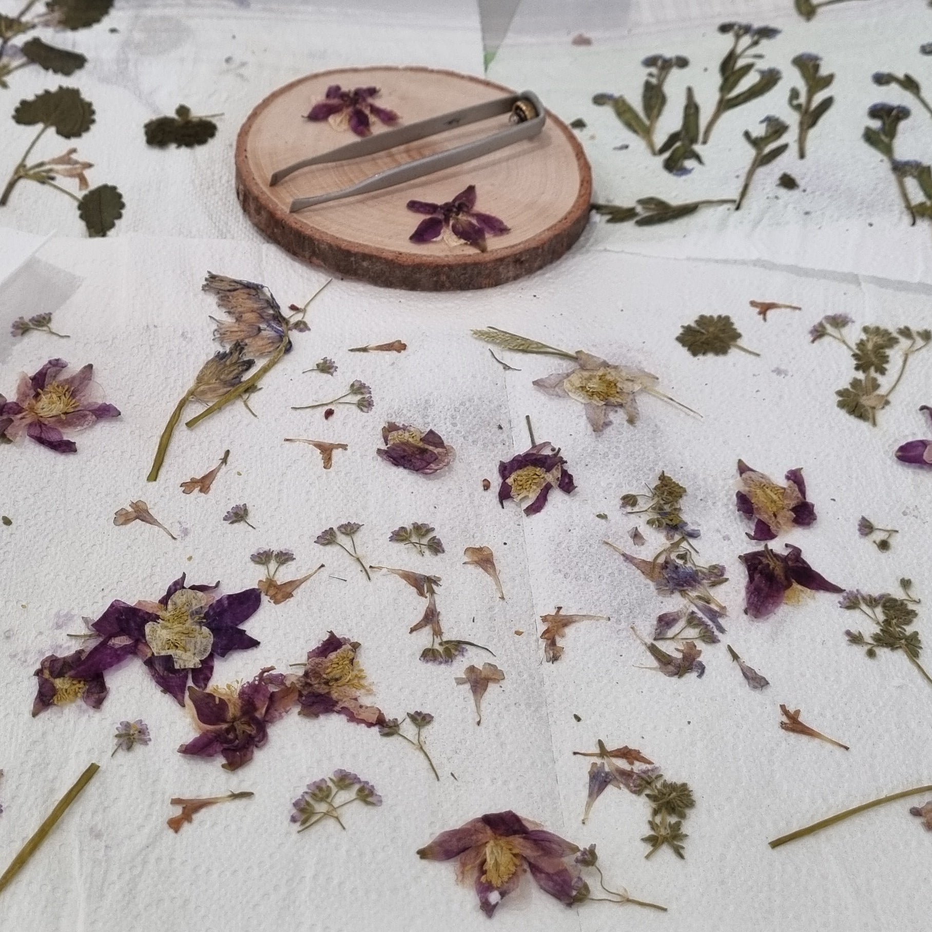 Suspension Parfumée Crocus - Violette des Bois