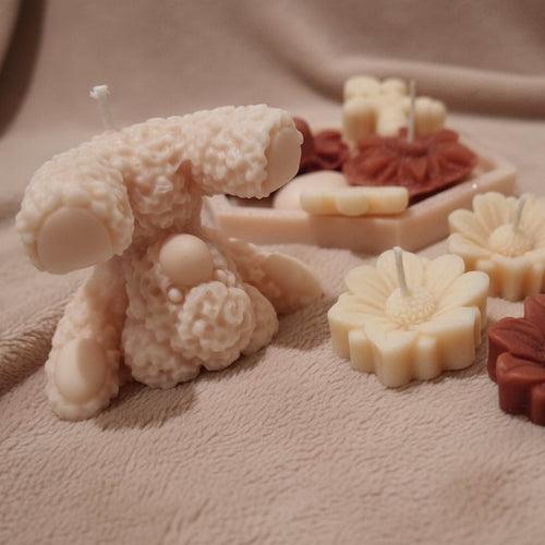 Bougie Ourson Coquin